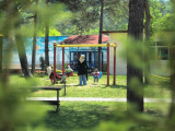 Rizom park_800x600