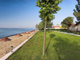 Rizom strand 1_800x600