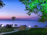 rizom night view_800x600